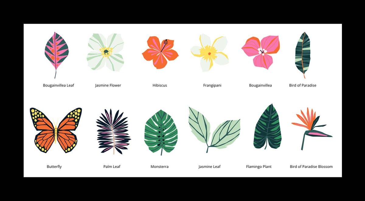 Showcase of various flower illustrations used for colorful visualizations