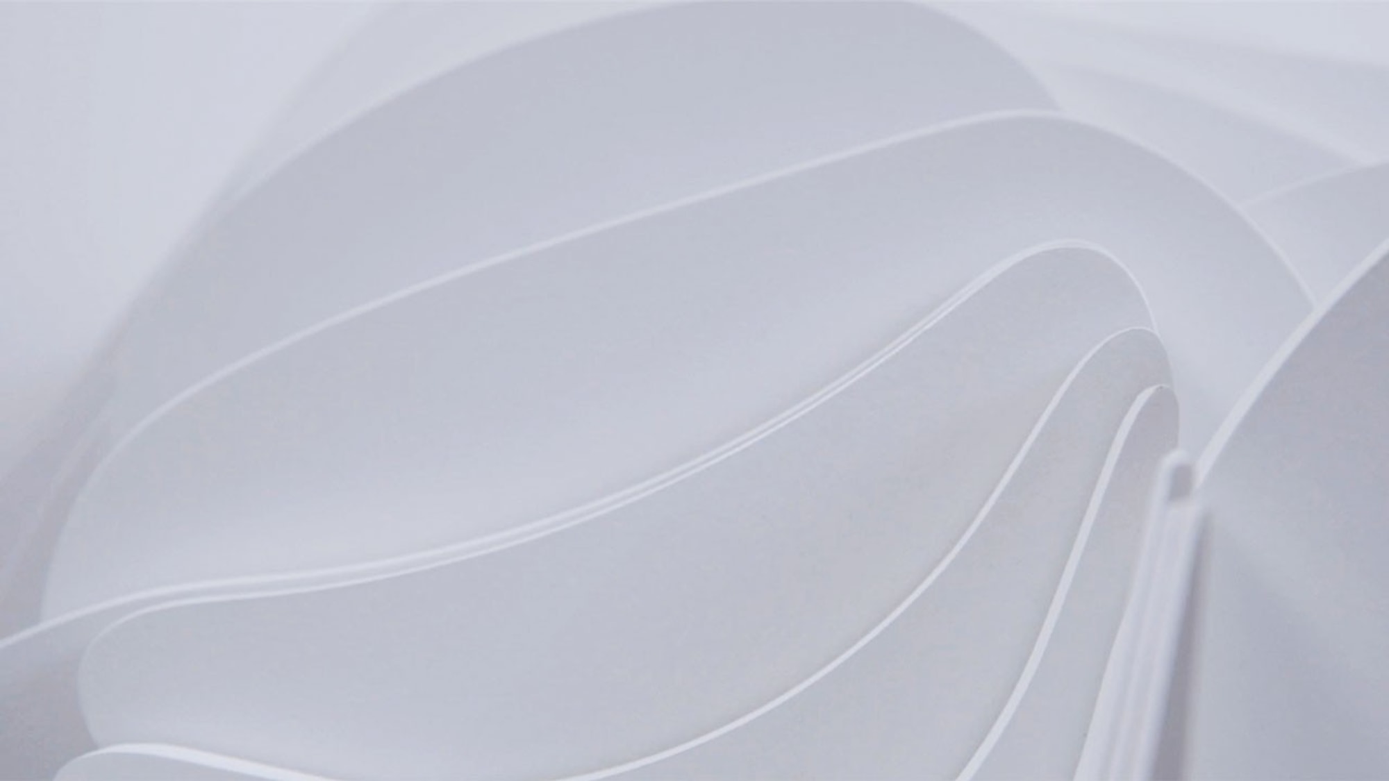 Close up view of curved white planes