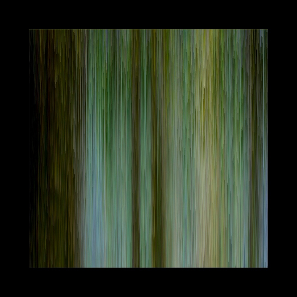 Abstract green visual of blurred vertical lines