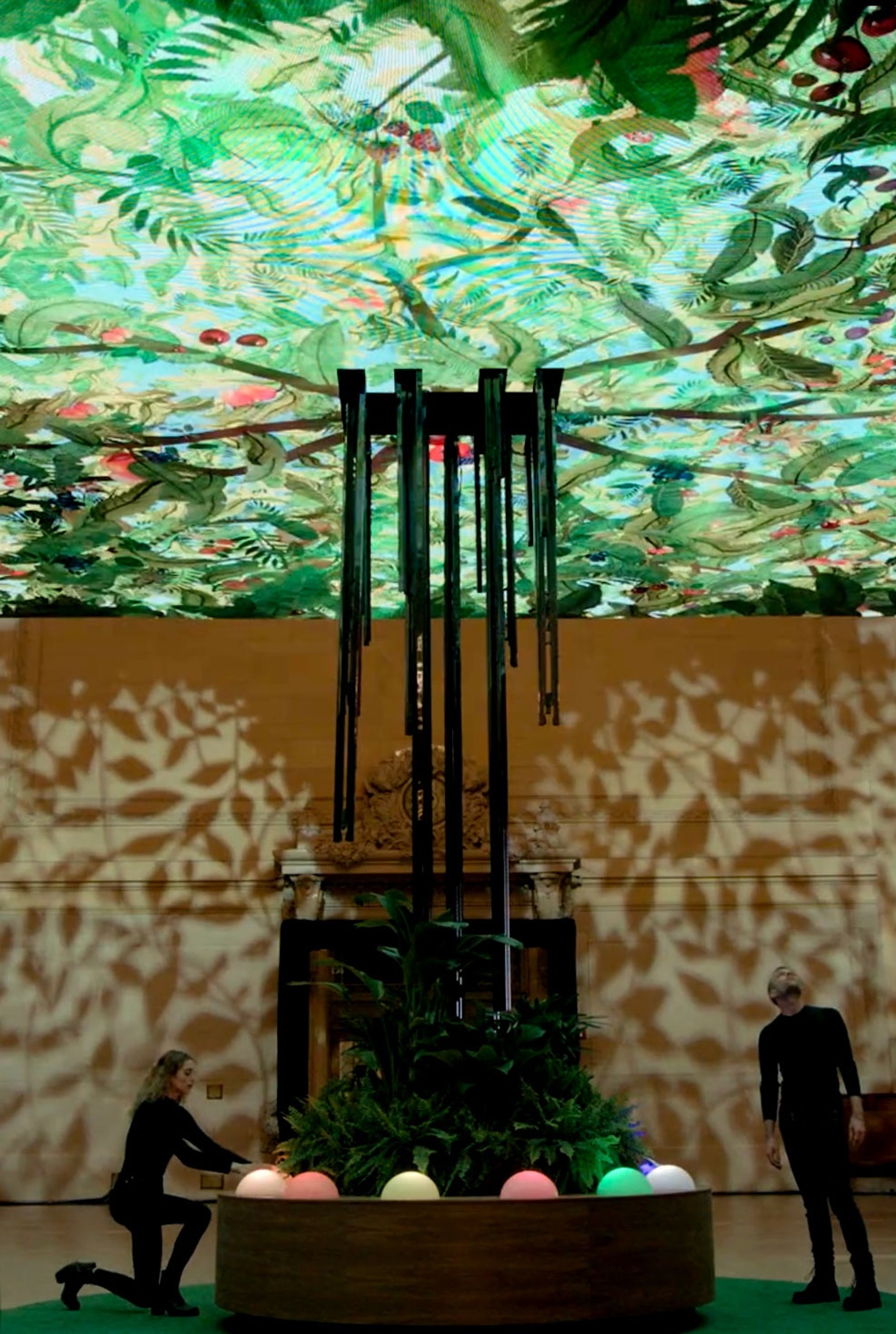 People standing under digital tree, one pressing round object below